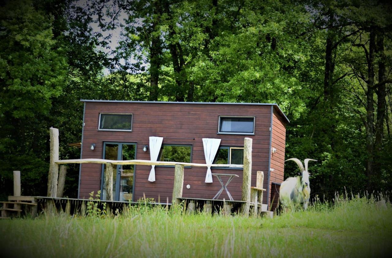 La Tiny House Terra Nostra Leilighet Saint-Bazile Eksteriør bilde